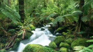 Steve Winwood The Finer Things