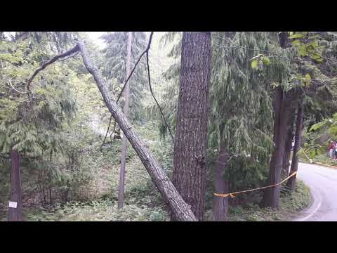 Rally degli Abeti 2019 ps le torri - fine prova(3)