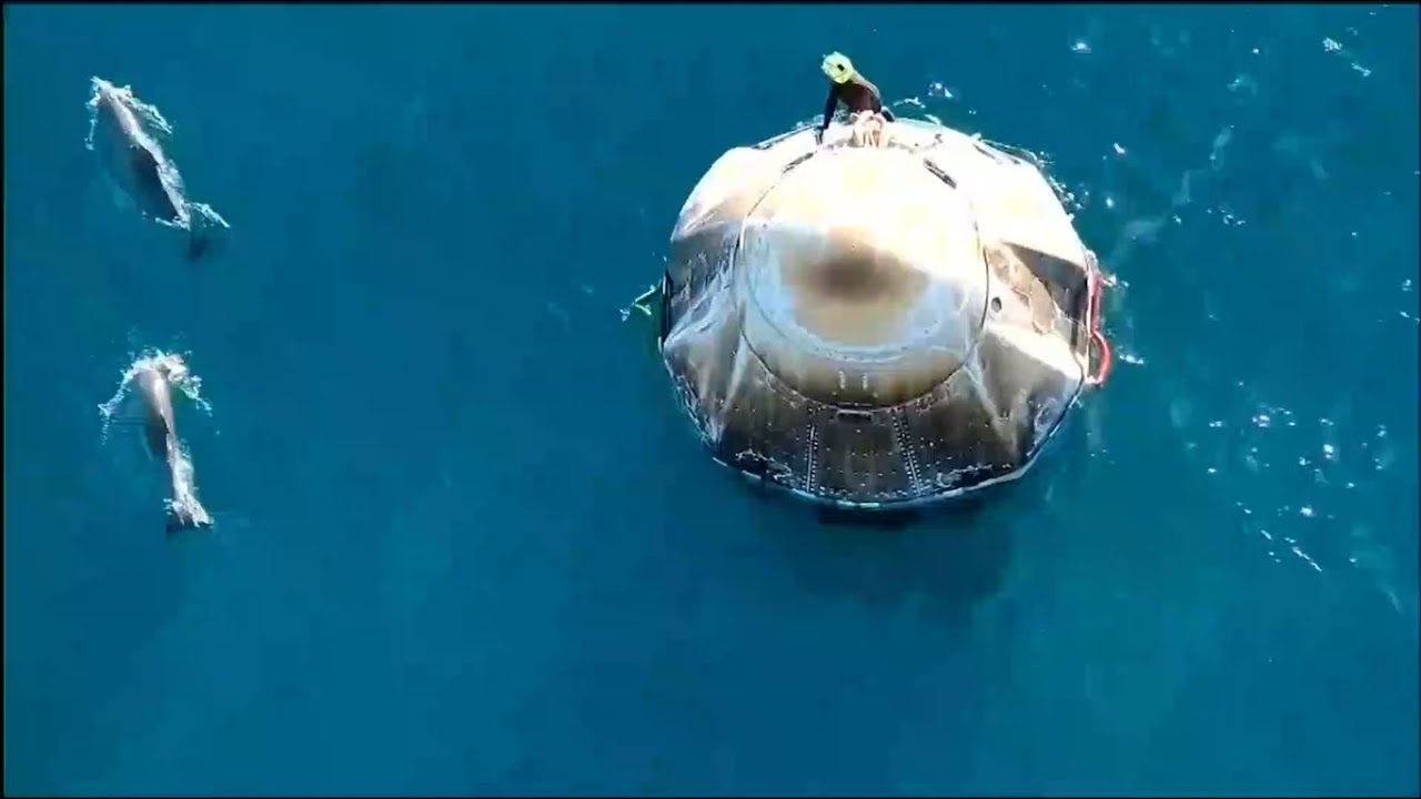 NASA SpaceX Crew 9 Return to Earth with Stranded astronauts Sunita Williams and Butch Wilmore #crew9