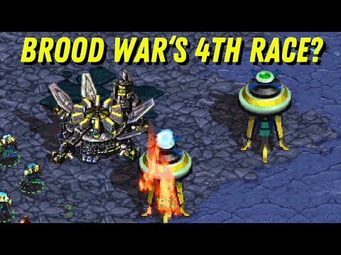 Brood War just got a Fourth Race! The Askosi (Modded StarCraft Cast)