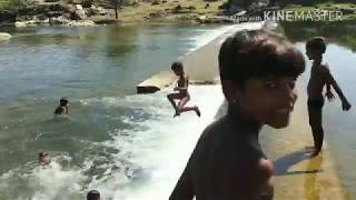 Small Boy Amazing Swimming In Indian Village