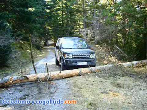 Blog Celedonio y Cogolludo – Land Rover Discovery 4