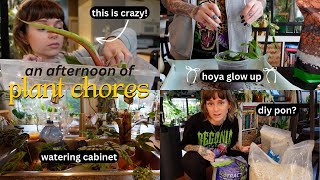 🌿 let's do some plant care! perlite propagation box update, repotting, & semi-hydro 💧