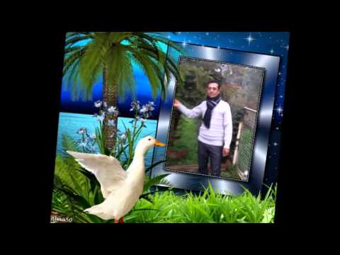 AUREL JAUPI NANI NANI DJALIN LIVE 2014