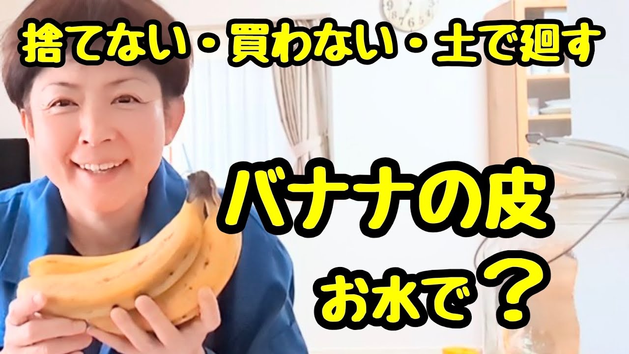 バナナの皮を水に浸すだけ🍌火も何も使わず、土に廻します