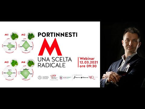 I RISULTATI ENOLOGICI DEI PORTINNESTI M