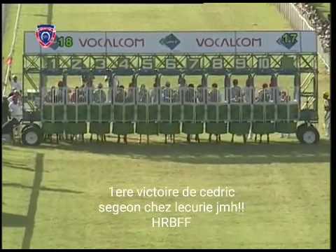 Right to tango segeon