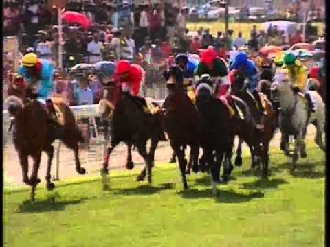 Captain's Knock wins the Maiden Cup 2010 - 05.09.10