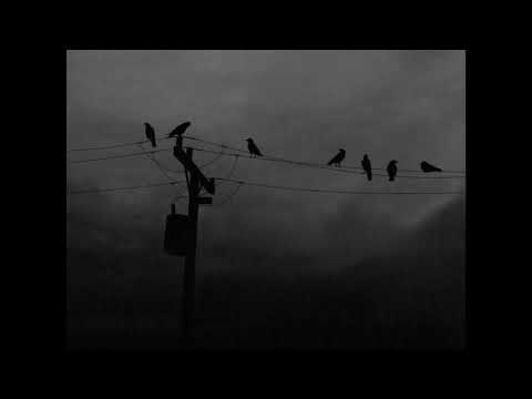 Maaraa & XPonent - MAD (Official audio)