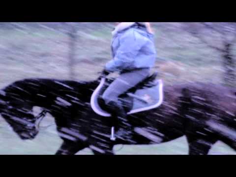 i've been dreaming of this since a child