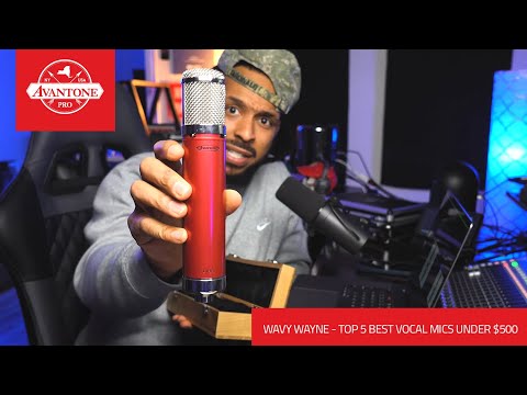 Producer / Engineer / YouTube Sensation Wavy Wayne selects the CV-12 Tube Condenser Microphone as his "Top 5 Best Vocal Microphones Under $500".