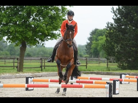 Cavaletti's rijden met Ingrid Klimke