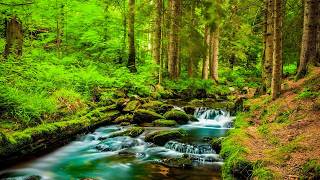 Beautiful Relaxing Music - Healing Nature to Relieve Stress, Calm The Nervous System & Stop Anxiety