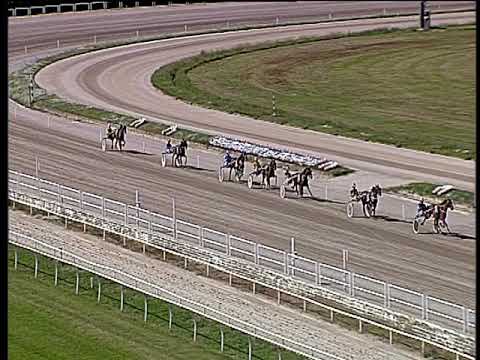 Trotto 13/10/2019 - 1ª prova di qualifica