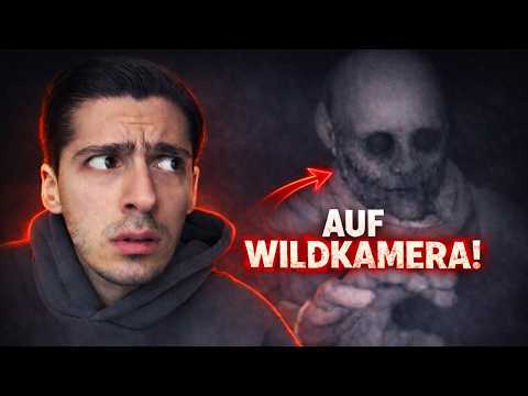 DIE 30 UNHEIMLICHSTEN AUFNAHMEN im WALD die DICH VERFOLGEN werden!