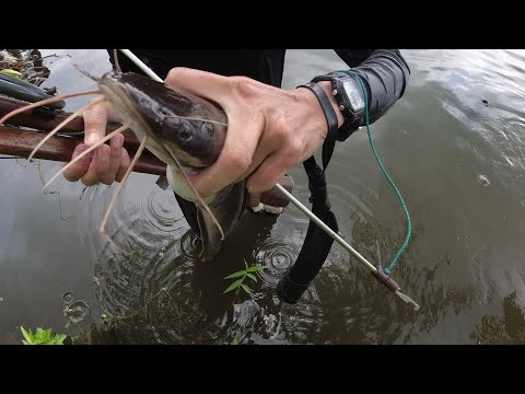 SE02EP072 Part 1 - YARE! MALA AFRICAN sa LAKI ang HITO Dine! Catch & Cook | San Pablo City, Laguna