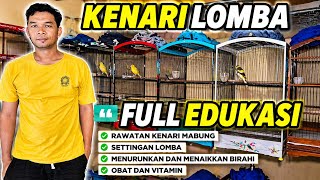 Download lagu PROSPECTIVE CANARI FOR COMPETITION‼️The warehouse of CHAMPION CANARI in JOGJA... mp3 Download lagu PROSPECTIVE CANARI FOR COMPETITION‼️The warehouse of CHAMPION CANARI in JOGJA... mp3