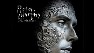 GothDaddy Peter Murphy and his new solo album Silver Shade