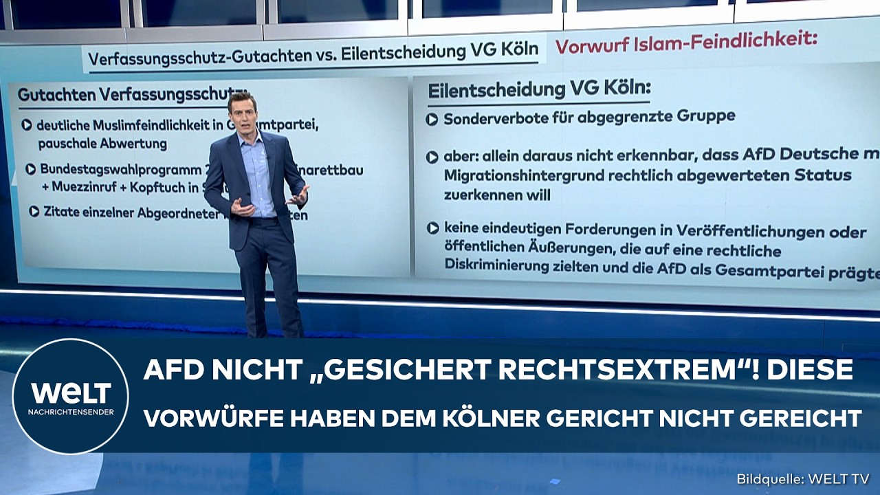 VERFASSUNGSSCHUTZ: AfD-Bericht unter der Lupe! Diese Vorwürfe haben dem Gericht nicht gereicht