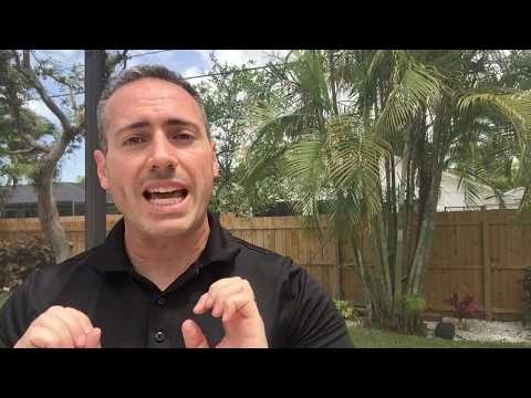 Aim High MINUTE - The Visitation of Mary Paradigm and Day 6 Novena to Holy Spirit