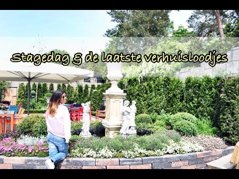 Vlog 55 - stagedag en de laatste verhuisloodjes