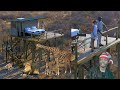 African Guest House Surrounded By Wild Animals For Vacation Stay