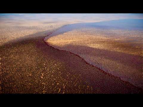 10,000,000 HEAVY KNIGHTS vs 1,000,000 TROLLS | Ultimate Epic Battle Simulator 2