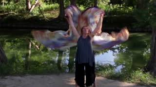 Bitter/Sweet (flag cover)