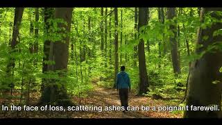 Final Farewell - A Guide to Scattering Cremation Ashes