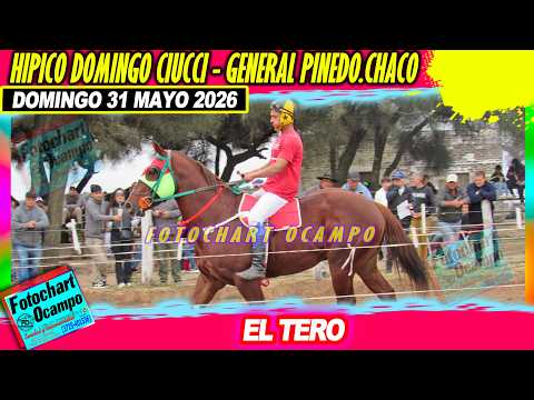 EL TERO  General Pinedo CH  31 05 2026