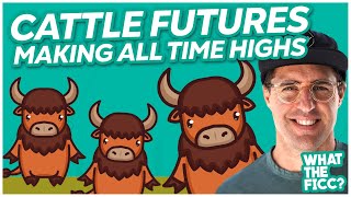 What To Know About Trading Cattle Futures | What The FICC