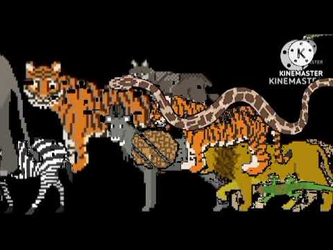 asia animal collecion kids picture show