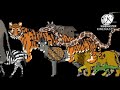 Asia Animal Collecion Kids Picture Show