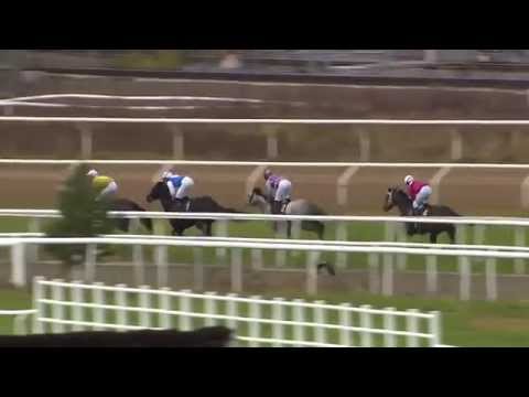 2015.10.18 Stockholm Fillies & Mares Stakes - Icecapada