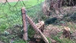 How to Install Chainlink Fencing on Concrete Posts
