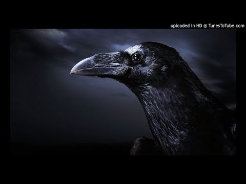 Kontra K x Sido x Disarstar x Motrip x Gzuz x Metrickz - Diese Narben sind für immer ( Mammut Remix)