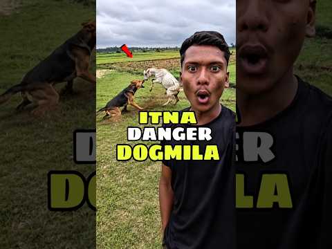 🐕‍🦺 गांव में खतरनाक कुता निकल आया 😱 | #minivlog #dogattack #viralshorts #villagevlog