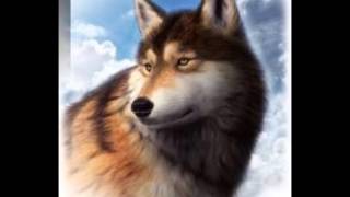 White Fang book trailer