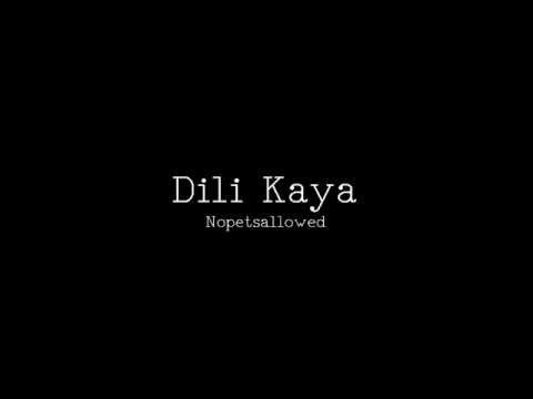 Dili Kaya - Nopetsallowed Lyrics