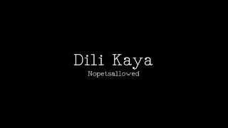 Dili Kaya - Nopetsallowed Lyrics