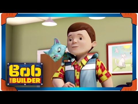 Bob the Builder 🐱 Cats and Dogs! 🐶 New Episodes | Cartoons For Kids - Kids (0-4), Kingdom Kids Zone - Bob the Builder
