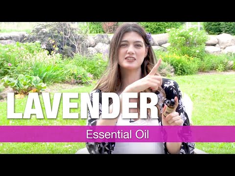 Lavender Essential Oil