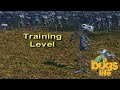 A Bug S Life Training Secret Bonus Level 1 1998 PC Game 4K 60