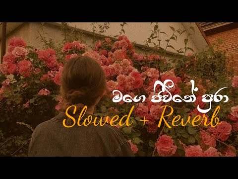 Mage Jeewithe Pura - slowed And reverb feel | chuki vibe