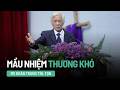 Mầu Nhiệm Thương Khó