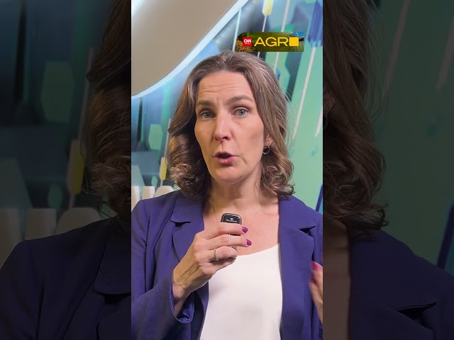 Guerra no Oriente Médio: grãos, insumos e frete no agro estão sob pressão