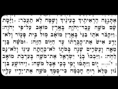 תצוגה מקדימה לשיעור שיעור לדוגמה 18