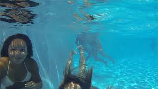 Camping Villa Campista - Camping Vendée - Image N°2