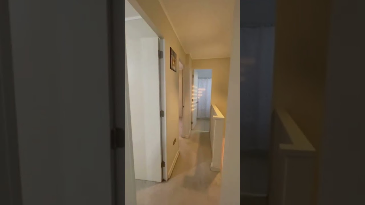 Vídeo thumbnail