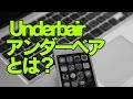 Underbair アンダーベア とは？【I can't forget you 】 それ全然わか ...